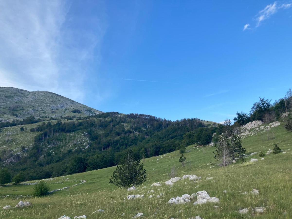 Mountain House Varda Ledenice Dış mekan fotoğraf