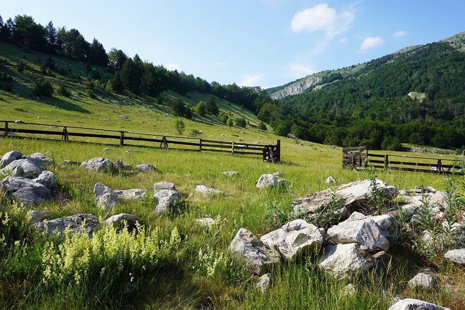 Mountain House Varda Ledenice Dış mekan fotoğraf