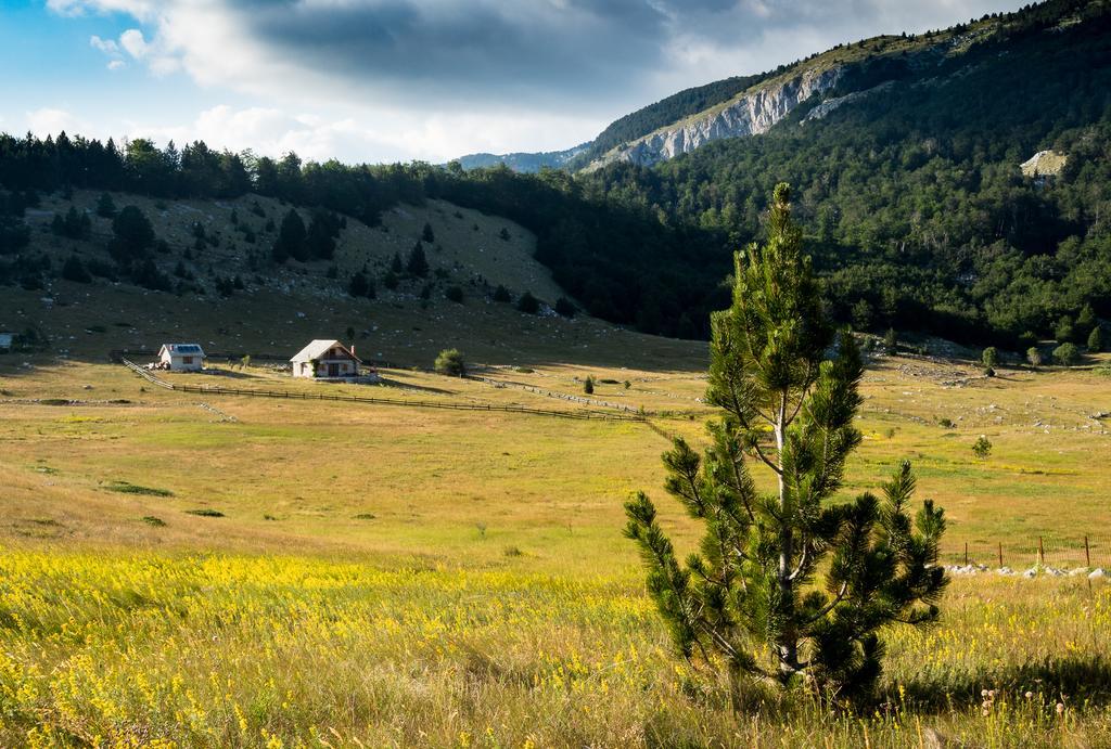 Mountain House Varda Ledenice Dış mekan fotoğraf